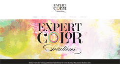 Desktop Screenshot of expertcolorsolutions.com